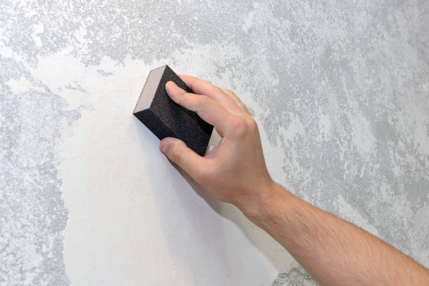 Best Forensic Mold Investigation  in Sauk Vlage, IL