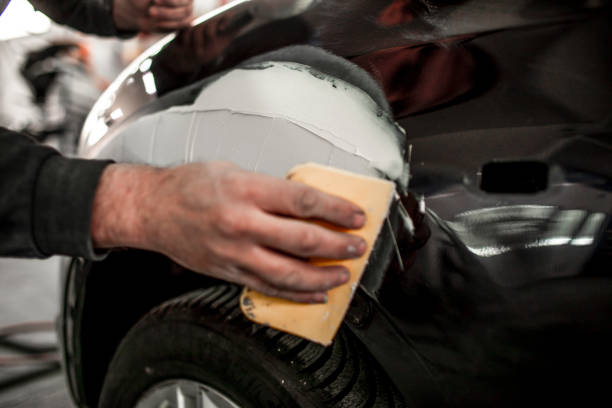 Best Biohazard Mold Removal  in Sauk Vlage, IL