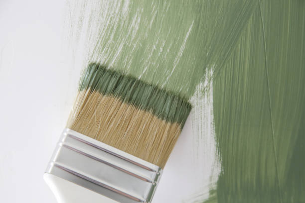 Best Mold Prevention Services  in Sauk Vlage, IL