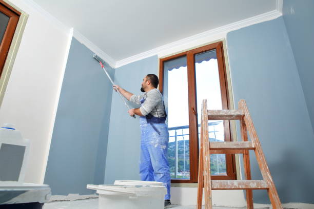Best Mold Damage Restoration  in Sauk Vlage, IL