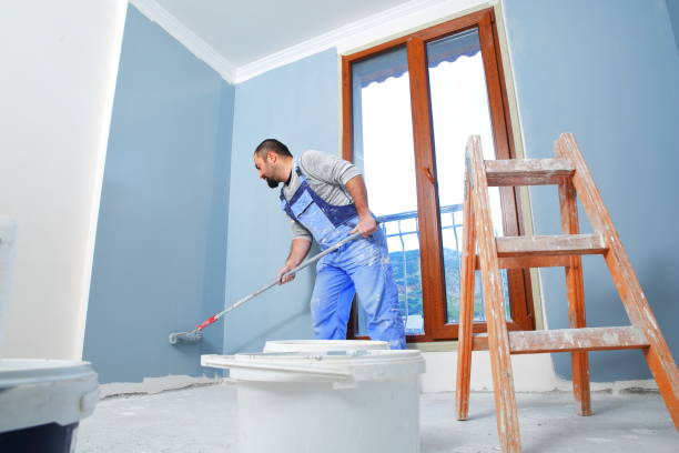 Best Mold Remediation for Rental Properties  in Sauk Vlage, IL