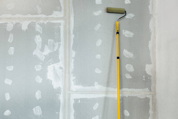 Best Asbestos and Lead Testing During Mold Inspection  in Sauk Vlage, IL