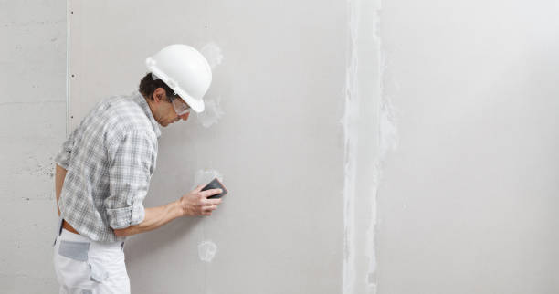Best Comprehensive Air Testing for Mold Contaminants  in Sauk Vlage, IL