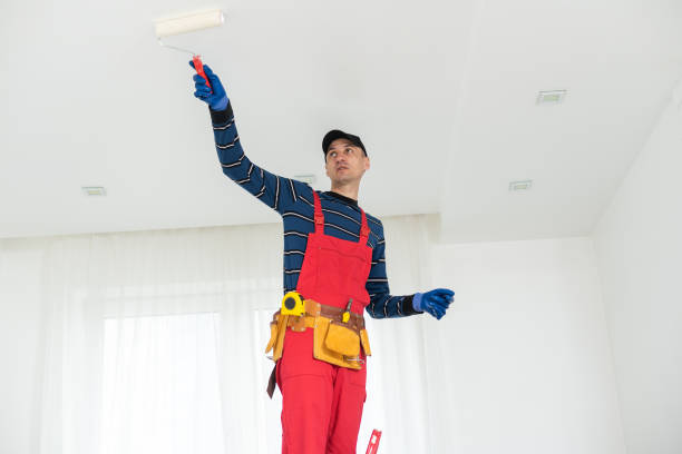 Mold Odor Removal Services in Sauk Village, IL