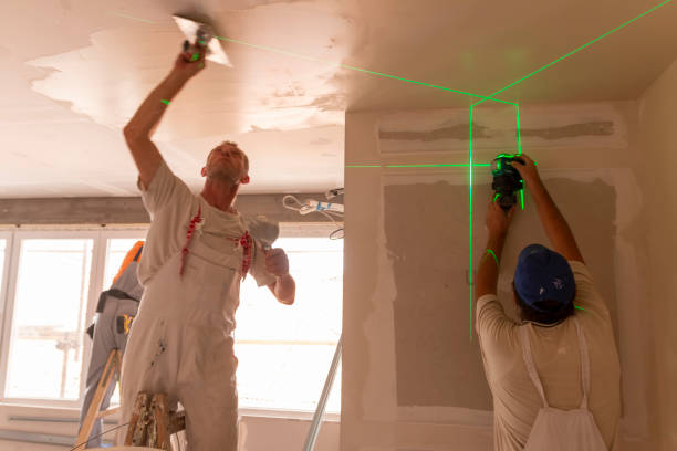 Best Emergency Mold Remediation  in Sauk Vlage, IL