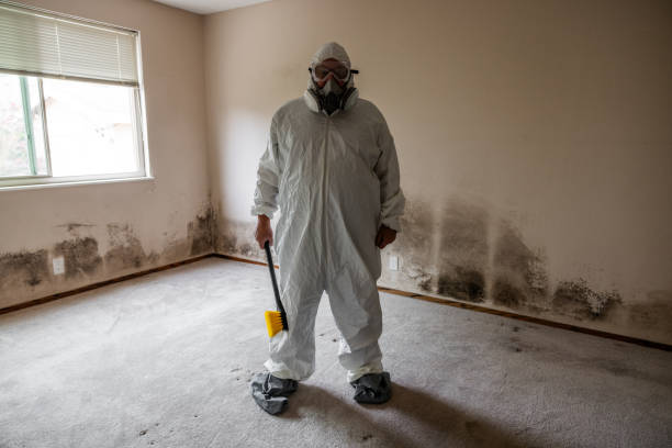 Best Crawl Space Mold Remediation  in Sauk Vlage, IL