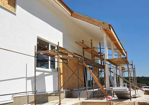 Reliable Sauk Village, IL Mold Removal Solutions