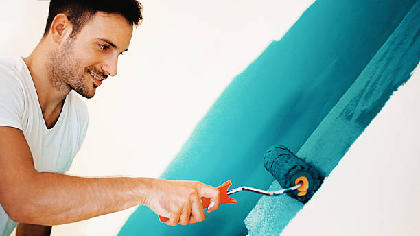 Best Industrial Mold Remediation  in Sauk Vlage, IL