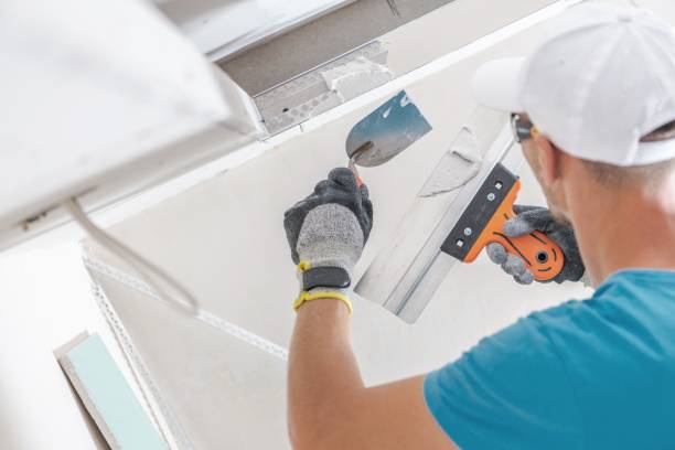 Best Mold Odor Removal Services  in Sauk Vlage, IL